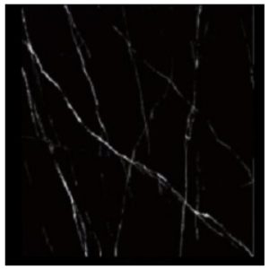 JM6615 PORCELANATO 60X60 NAPOLE (1.45) $ 12.900 M2